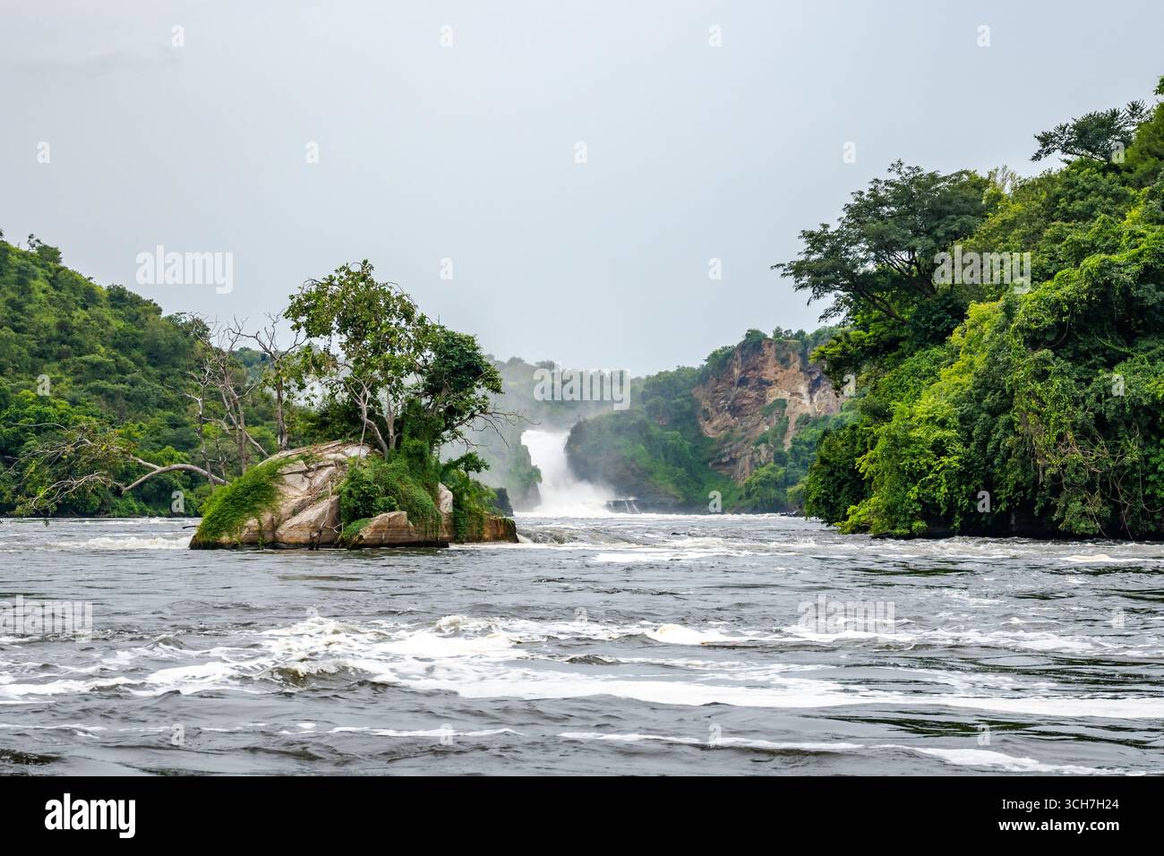 Vue sur les puissantes chutes Murchison depuis le fleuve Victoria Nil en contrebas de la cascade. Parc national de Murchison Falls, Ouganda, Afrique. Banque D'Images