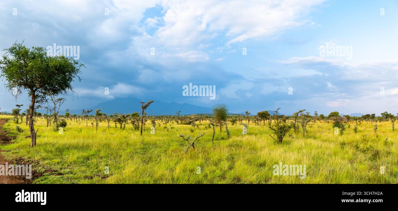 Mont Kadam, une montagne volcanique, s'élevant au-dessus des plaines environnantes. Pian UPE Game Reserve, Ouganda, Afrique. Banque D'Images