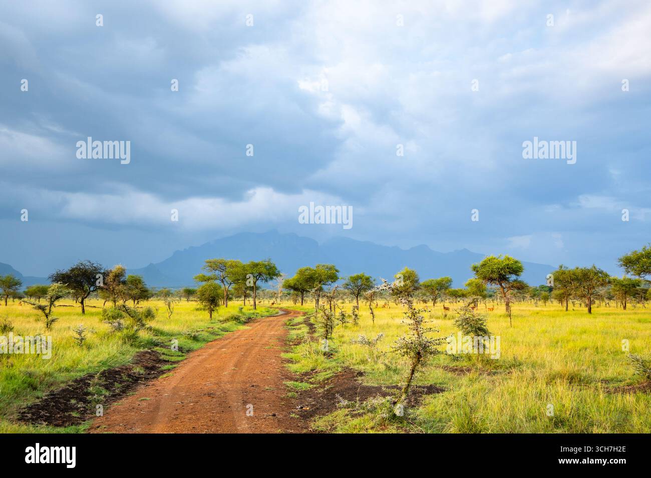 Mont Kadam, une montagne volcanique, s'élevant au-dessus des plaines environnantes. Pian UPE Game Reserve, Ouganda, Afrique. Banque D'Images