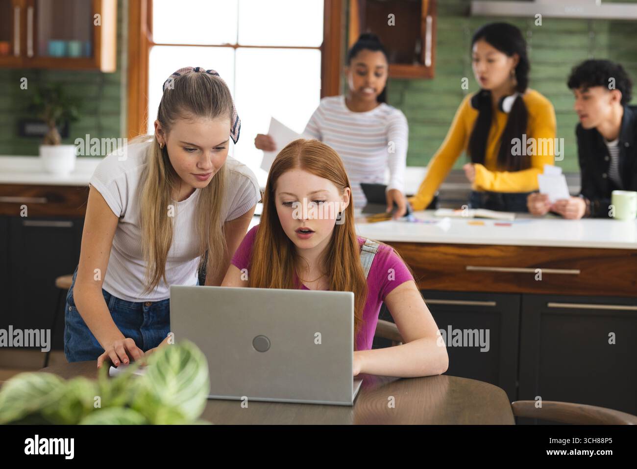 Adolescentes utilisant un ordinateur portable dans la cuisine tandis que des amis collaborent sur le projet scolaire Banque D'Images