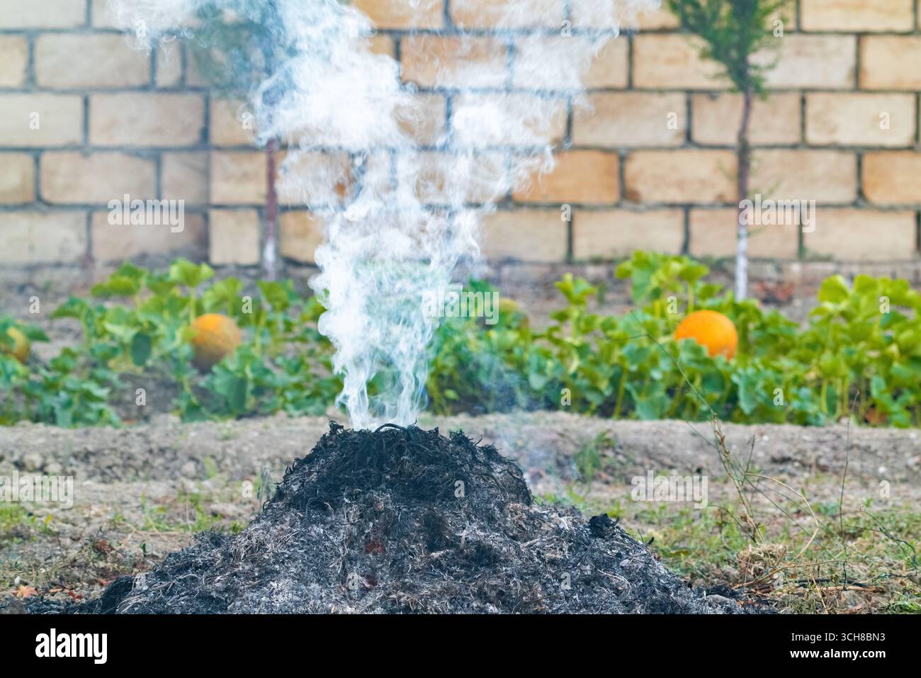 Fumée d'un feu lors de la combustion de l'herbe sèche dans une parcelle de jardin Banque D'Images
