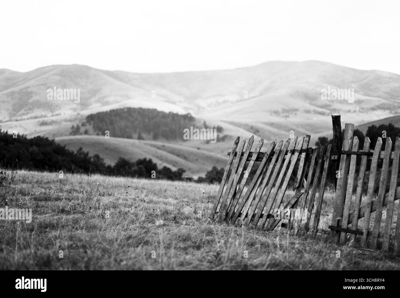 Ancienne clôture en bois déformée sur la montagne Zlatibor, Serbie, capturée en noir et blanc. Paysage rural Moody avec des collines et un ciel dramatique. Banque D'Images