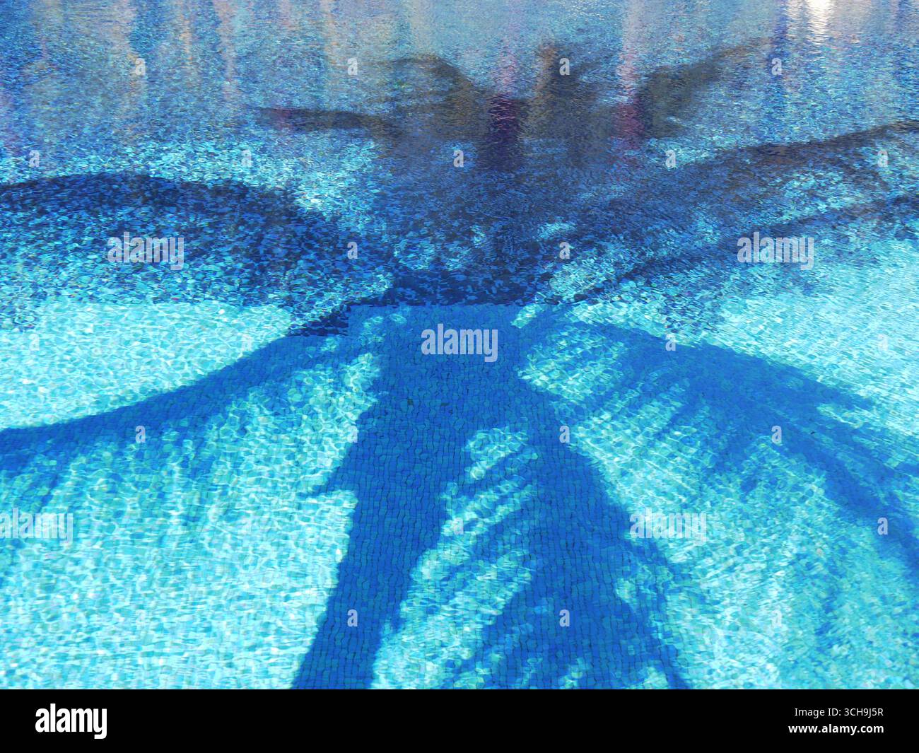 l'ombre d'un palmier est reflétée dans la piscine avec beaucoup de nuances de couleur bleue Banque D'Images
