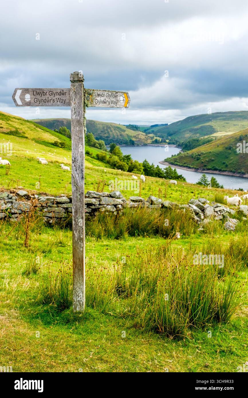 Glyndwrs Way sentier de longue distance près du réservoir Clywedog dans le centre du pays de Galles Banque D'Images