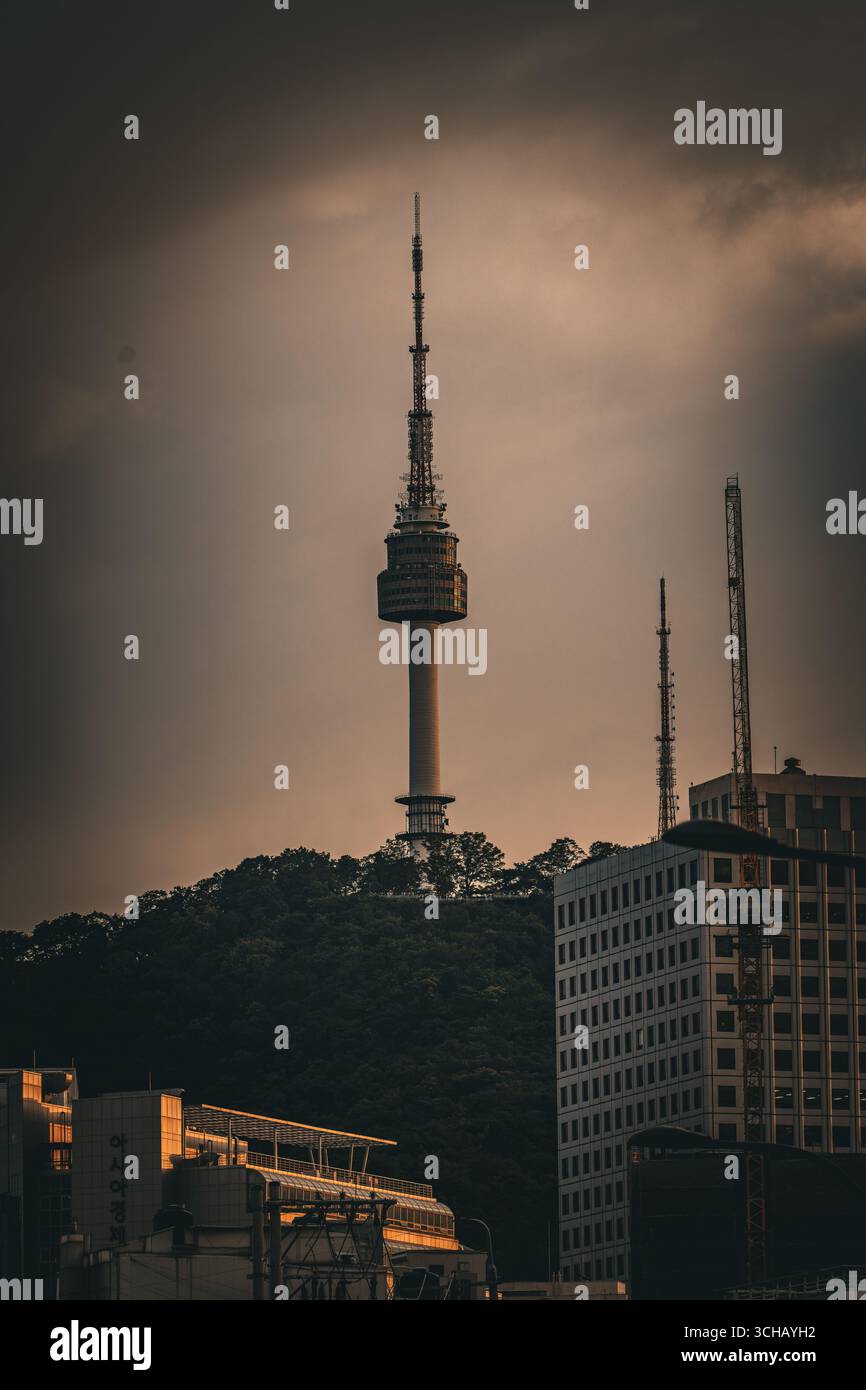 N Seoul Tower s'élève au-dessus des pentes boisées de Namsan à l'heure dorée à Séoul, en Corée du Sud. Banque D'Images