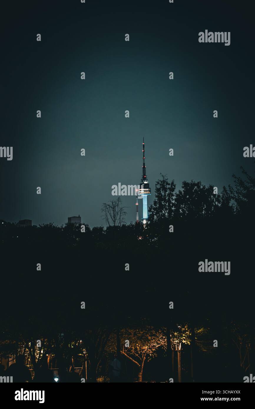 N Seoul Tower illuminé la nuit au-dessus des arbres de Namsan à Séoul, Corée du Sud. Banque D'Images