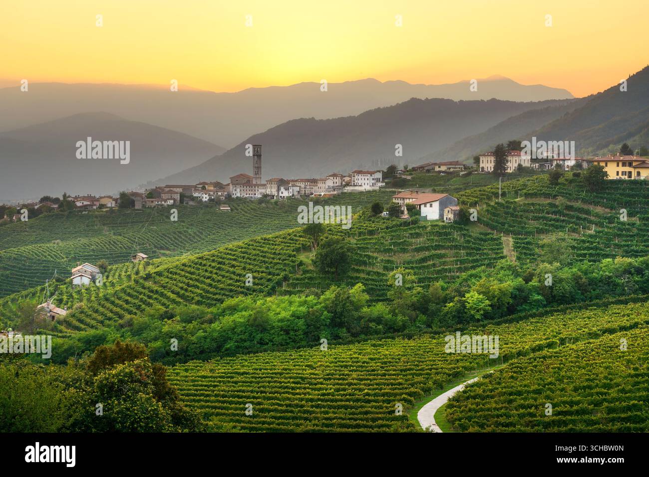 Spectaculaires vignobles en terrasse Prosecco entourant San Pietro di Barbozza village perché avec clocher à l'heure d'or dans la région viticole de Vénétie, en Italie Banque D'Images Spectaculaires vignobles en terrasse Prosecco entourant San Pietro di Barbozza village perché avec clocher à l'heure d'or dans la région viticole de Vénétie, en Italie Banque D'Images