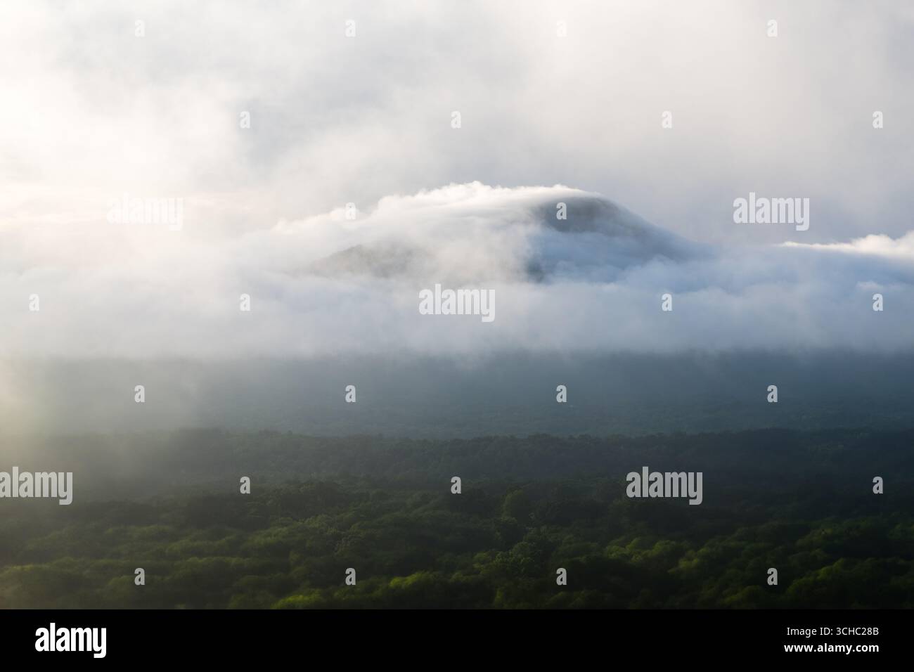 Misty Blue Ridge Mountains s'élevant au-dessus d'une vallée boisée à Helen, Géorgie. Banque D'Images