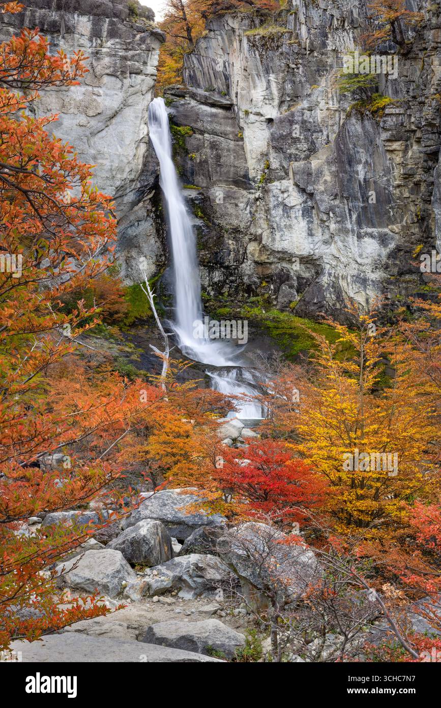 Cascade de Senda Chorrillo del Salto avec des arbres de couleur automnale, Lago Argentino, près d'El Chalten à l'extérieur du parc national Los Glaciares dans le R Patagonien Banque D'Images