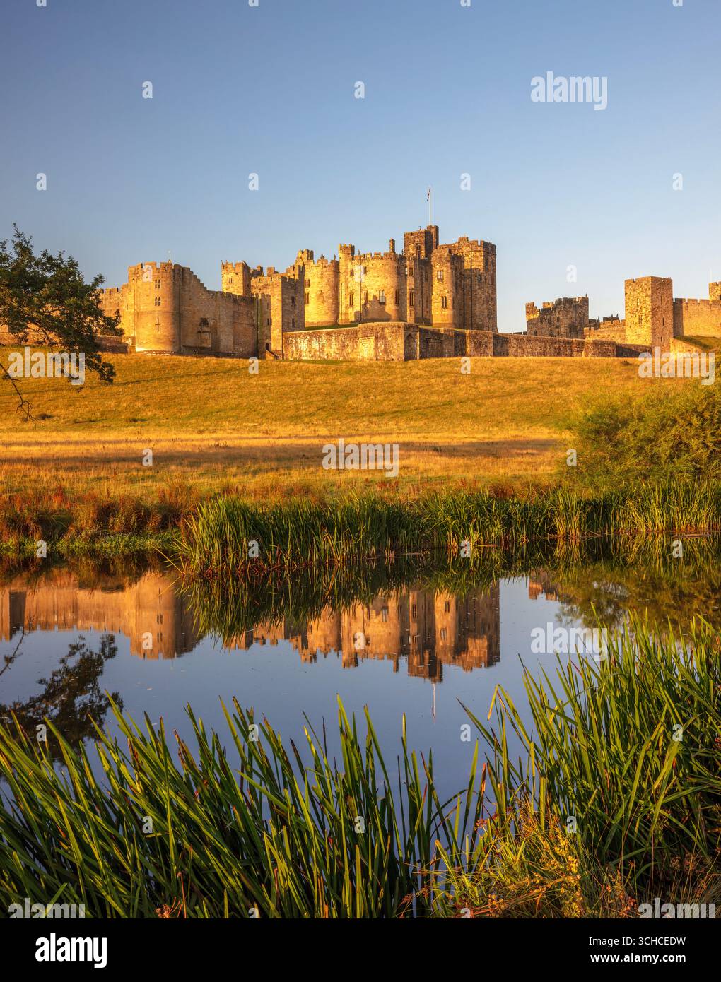 Une vue à l'aube par une journée ensoleillée en été du château d'Alnwick reflétée dans la rivière ALN vue depuis les pâturages Banque D'Images