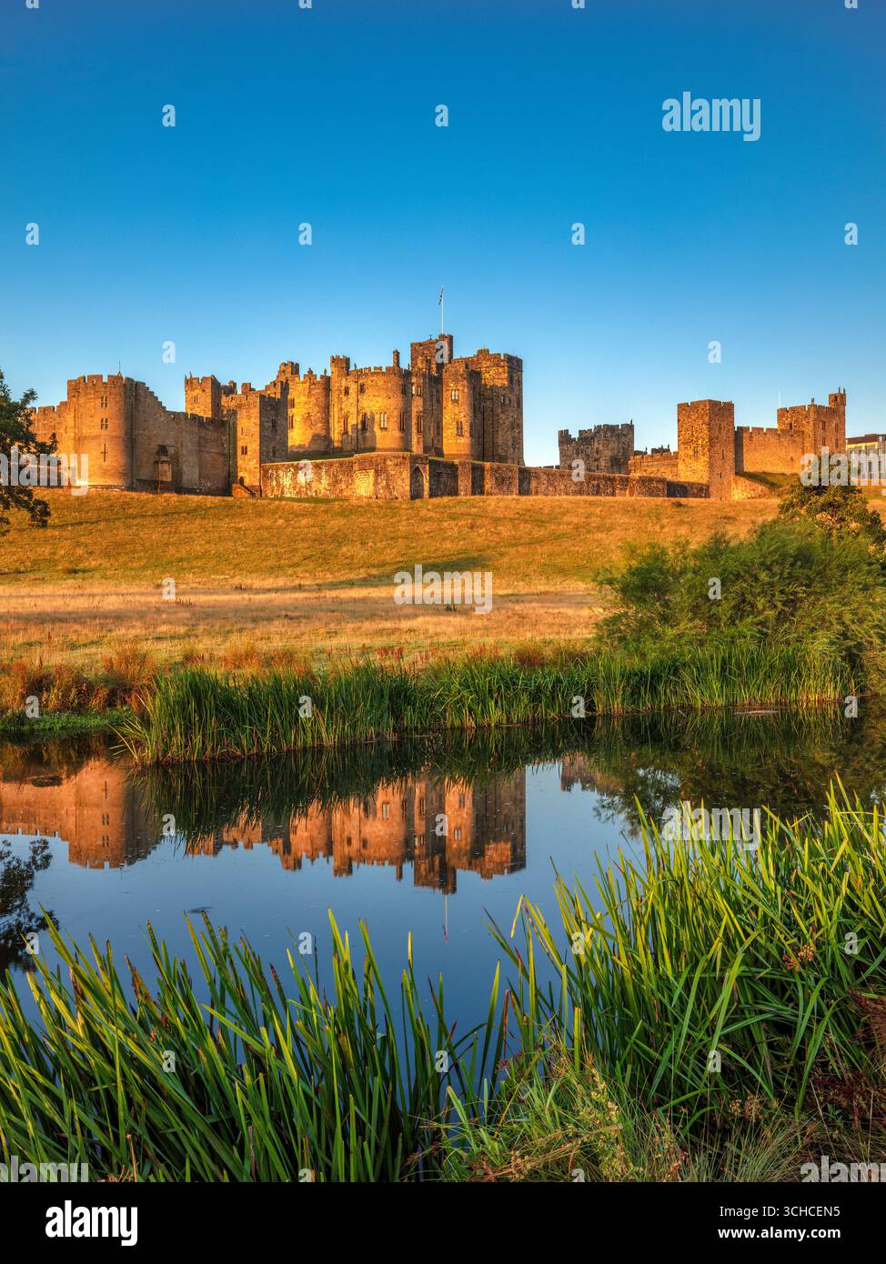 Une vue à l'aube par une journée ensoleillée en été du château d'Alnwick reflétée dans la rivière ALN vue depuis les pâturages Banque D'Images