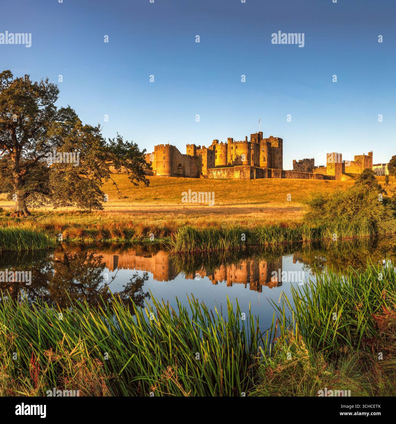 Une vue à l'aube par une journée ensoleillée en été du château d'Alnwick reflétée dans la rivière ALN vue depuis les pâturages Banque D'Images