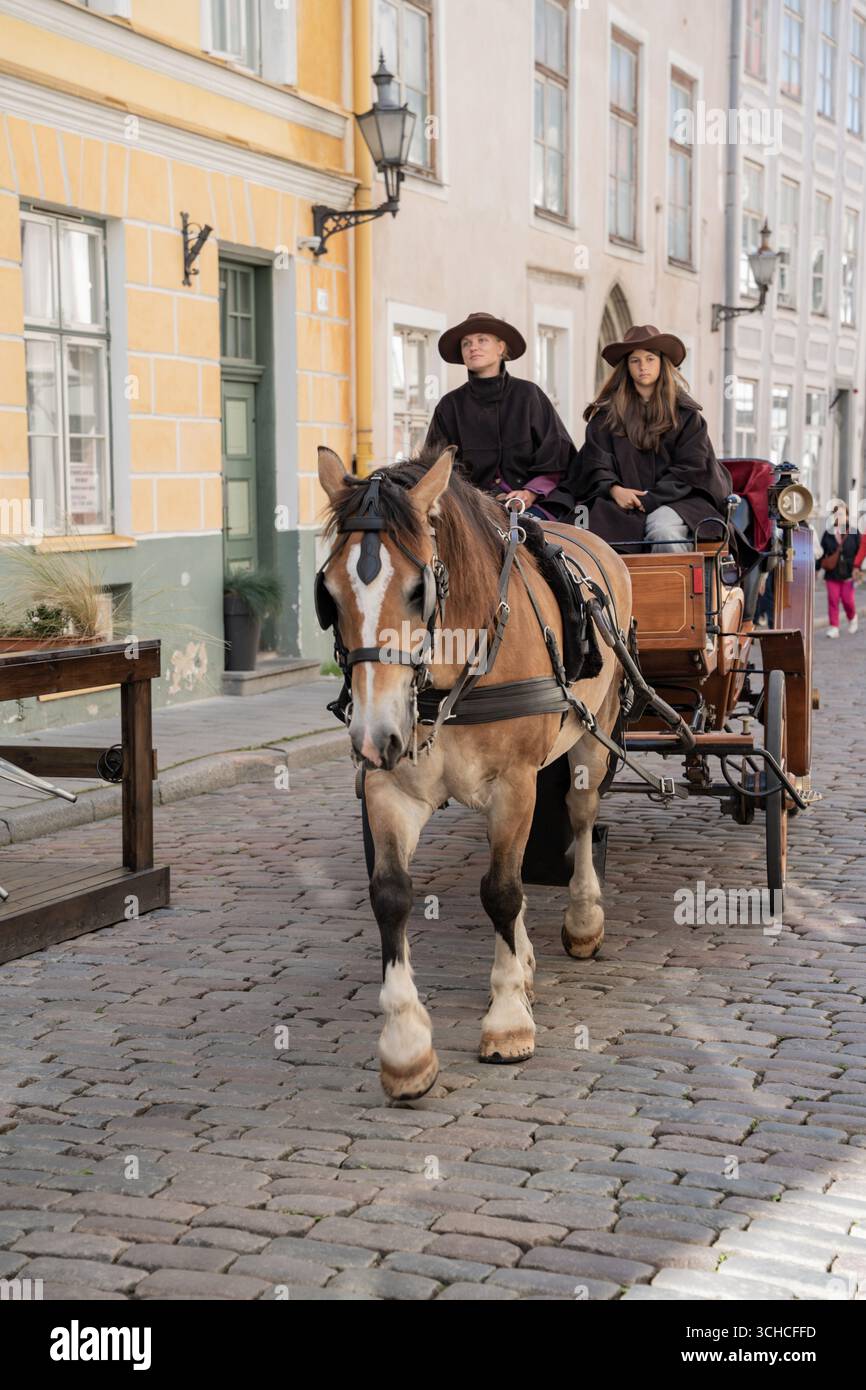 Calèche tirée par des chevaux avec deux personnes dans la rue pavée historique de la vieille ville de Tallinn Banque D'Images