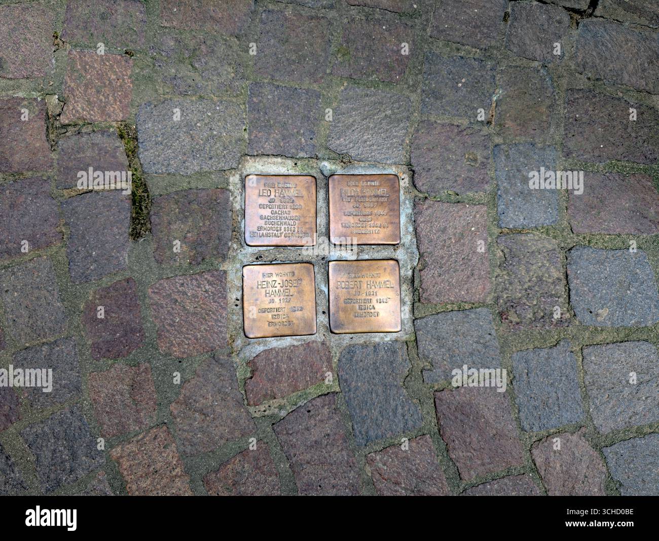 Projet de mémorial de l'Holocauste appelé Stolpersteine (allemand pour « pierres de trébuchement »), créé par l'artiste Gunter Demnig Banque D'Images