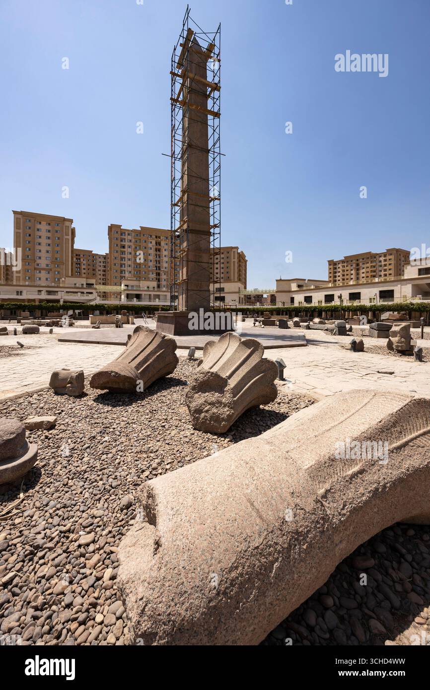 Obélisque d'Héliopolis, obélisque de Senusret I ( Sesostris, Senwosret), ancienne capitale de l'Egypte, El Matareya, le Caire, Egypte, Afrique du Nord, Afrique Banque D'Images