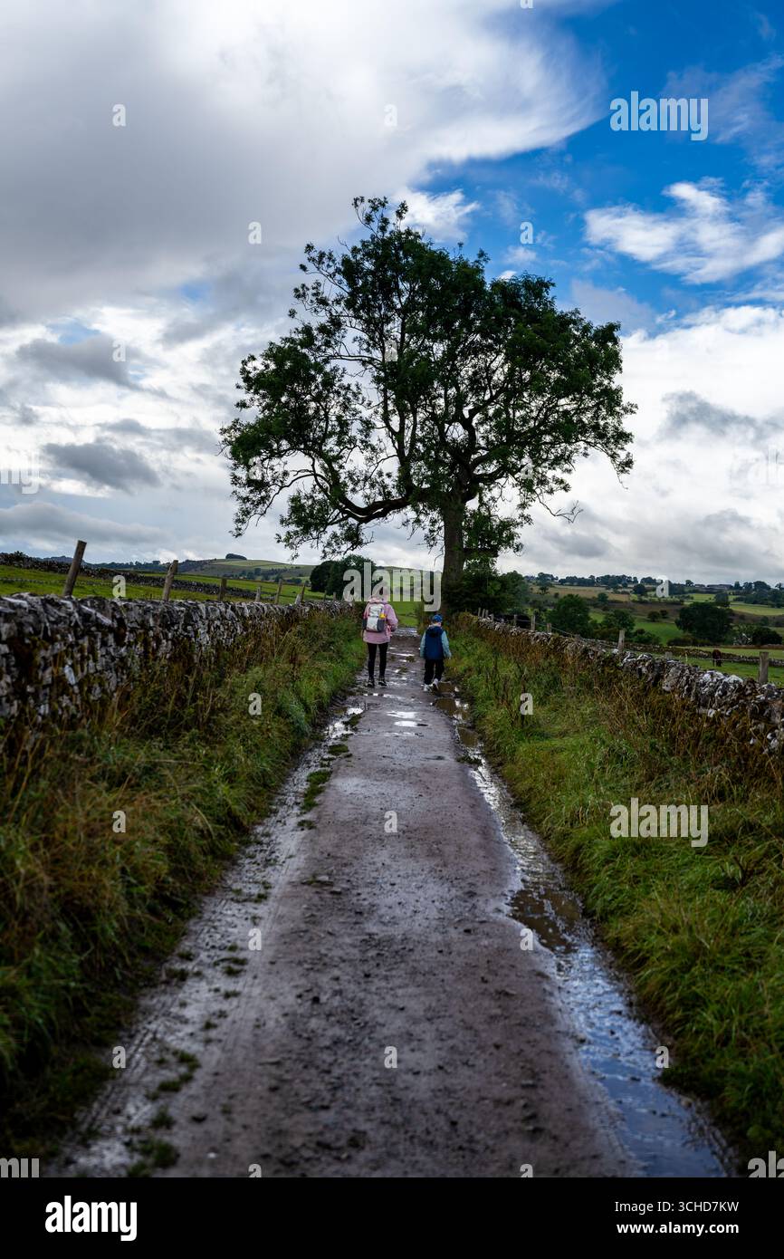Touristes marchant sur un chemin boueux avec des flaques entre les murs de pierre et l'herbe sous un ciel nuageux dans le Yorkshire Dales National Park, Angleterre Banque D'Images
