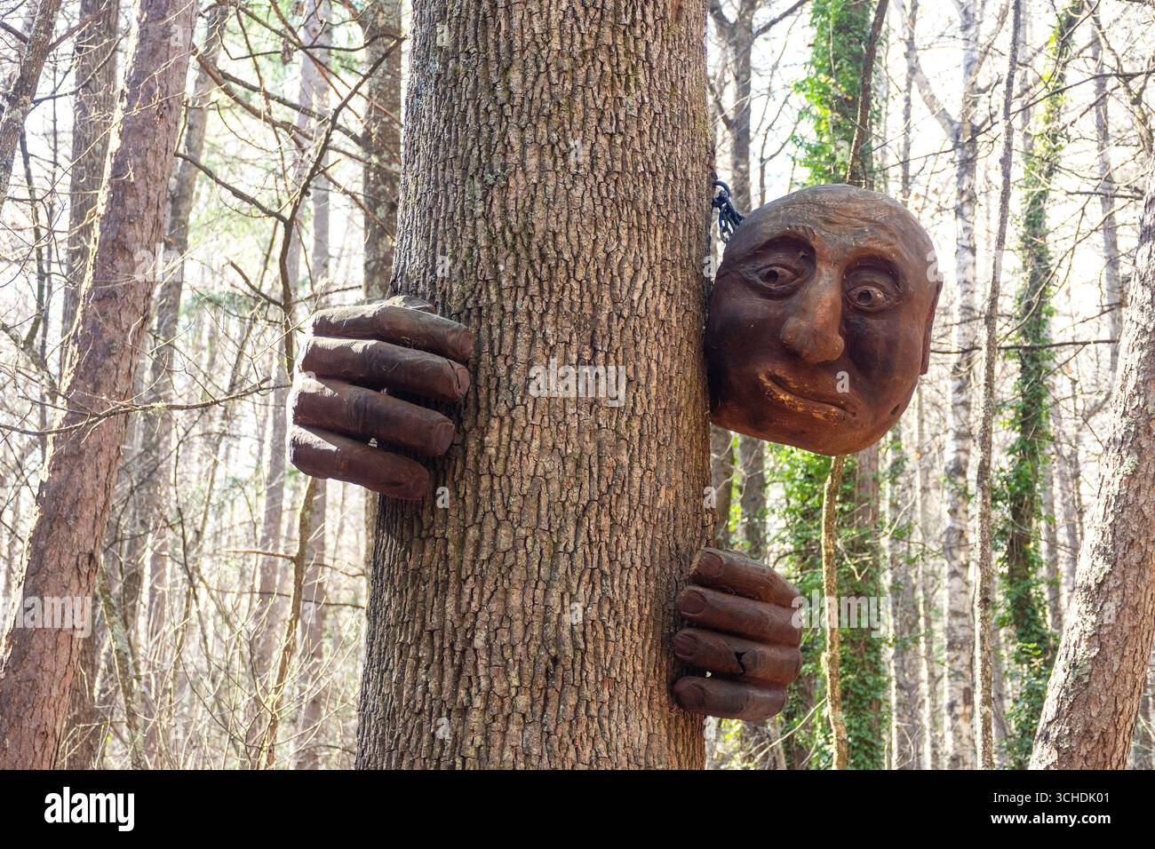 Sculpture monstre effrayant, Forêt amble / sculpture Walk, Hanmer Forest, Jolly Pass Road, Hanmer Springs, Canterbury Region, île du Sud, Nouvelle-Zélande Banque D'Images