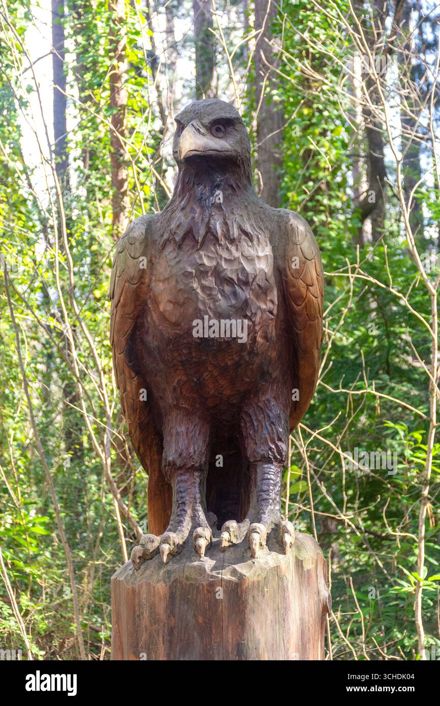 Eagle Carving, Forest amble/ sculpture Walk, Hanmer Forest, Jolly Pass Road, Hanmer Springs, Canterbury Region, île du Sud, Nouvelle-Zélande Banque D'Images