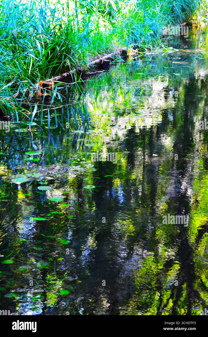 Impressionnisme dans la nature, photographie couleur Banque D'Images