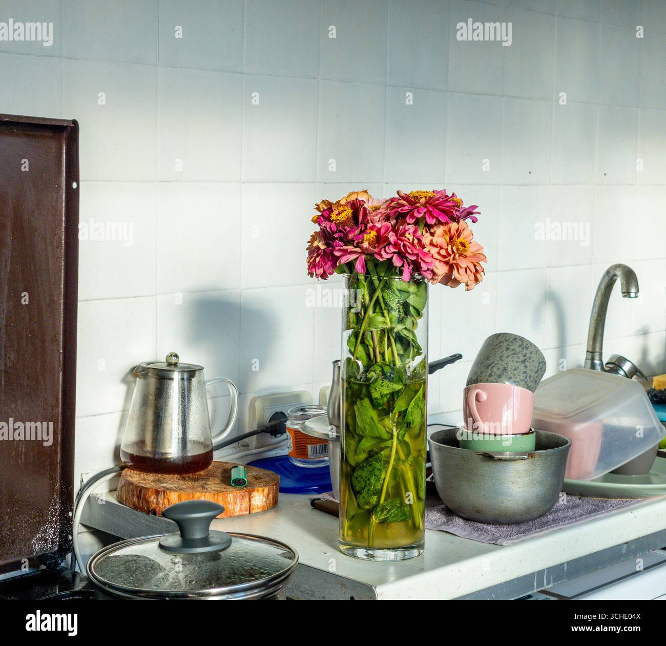 Les zinnias roses et oranges apportent une touche d'élégance à un comptoir de cuisine encombré, créant un contraste entre beauté naturelle et chaos quotidien Banque D'Images
