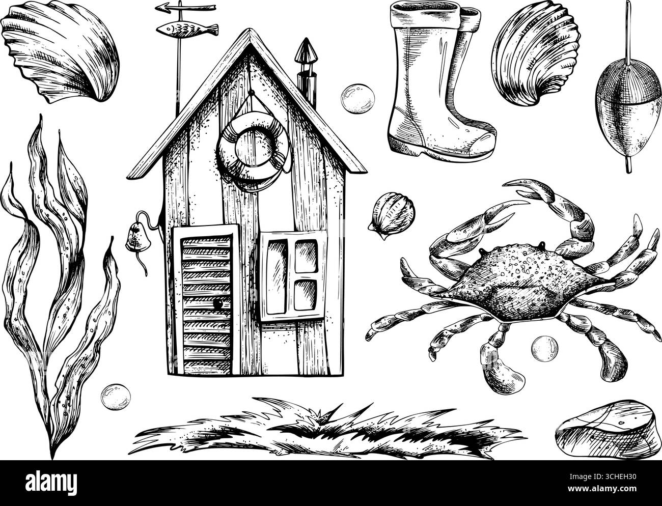 Illustration d'art au trait dessinée à la main de cabane en bois, coquillages, crabe, algues. Collection côtière d'encre noire avec bulles, ensemble nautique détaillé pour clipart Illustration de Vecteur