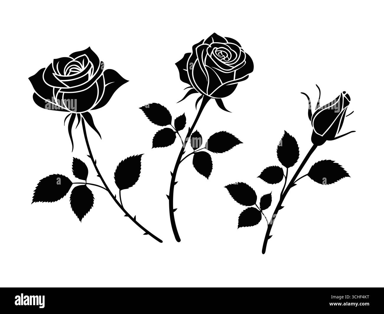 Ensemble de silhouettes de fleur de rose noire sur fond blanc Illustration de Vecteur