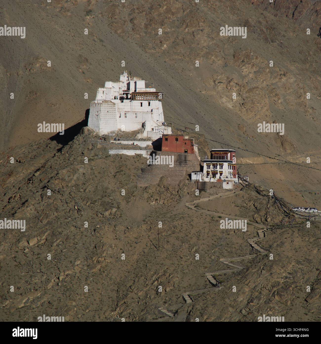 Château médiéval de Tsemo et monastère de Namgyal Tsemo vu de Shanti Stupa, Leh, Inde. Banque D'Images