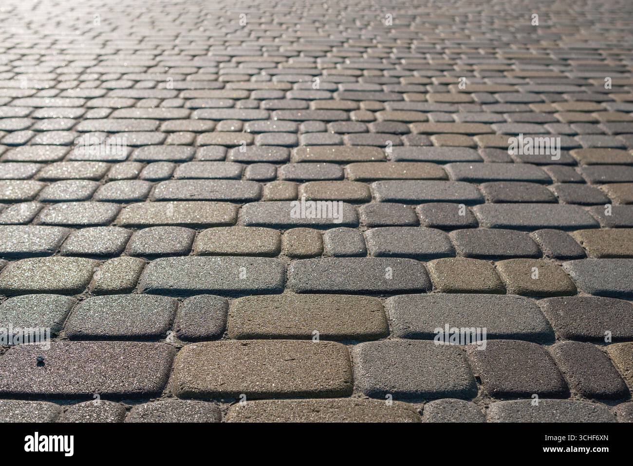 Gros plan de pavés modernes qui brillent sous la lumière du soleil. Arrière-plan. Banque D'Images