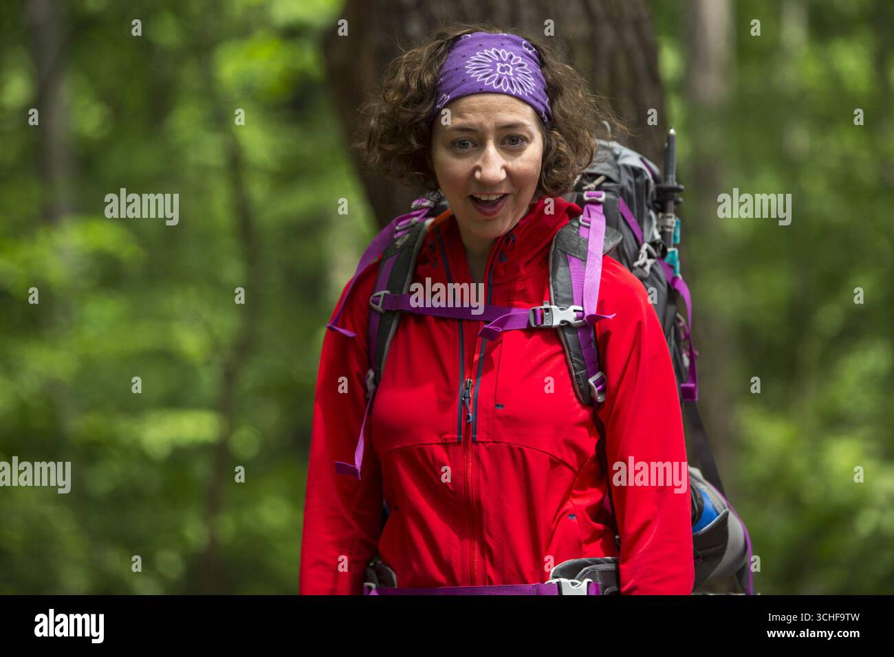 A Walk in the Woods est un film dramatique biographique américain réalisé par Ken Kwapis et sorti en 2015 et mettant en vedette Robert Redford, Nick Nolte et Emma Thompson. Basé sur le livre de 1998 du même nom de Bill Bryson, il est sorti le 2 septembre 2015. Banque D'Images