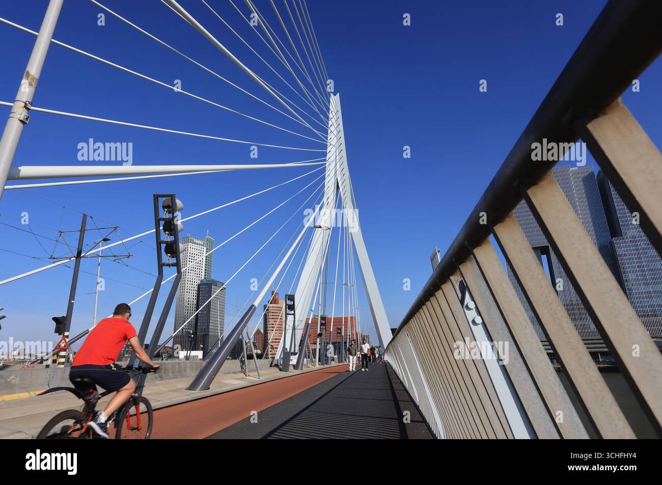 L'Erasmusbrug, ou le Cygne, un pont à haubans blanc, qui s'ouvre permettant aux navires de passer, conçu par Ben van Berkel en 1996, à Zuid. Banque D'Images