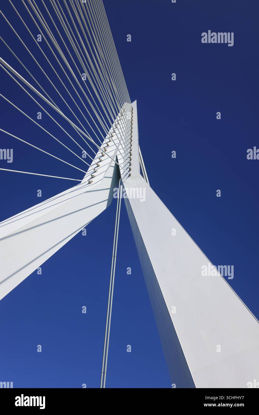 L'Erasmusbrug, ou le Cygne, un pont à haubans blanc, qui s'ouvre permettant aux navires de passer, conçu par Ben van Berkel en 1996, à Zuid. Banque D'Images