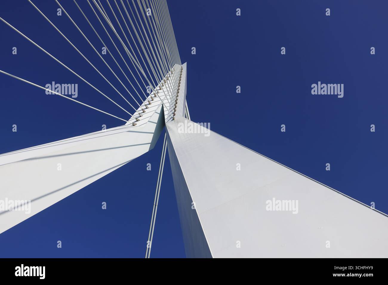 L'Erasmusbrug, ou le Cygne, un pont à haubans blanc, qui s'ouvre permettant aux navires de passer, conçu par Ben van Berkel en 1996, à Zuid. Banque D'Images