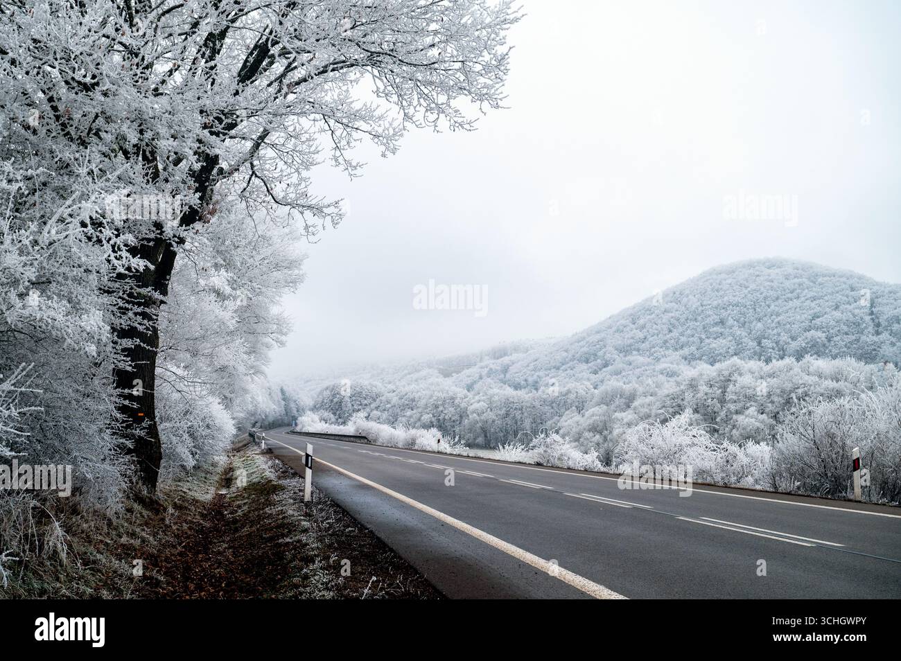 La sérénité hivernale entoure une route à deux voies traversant des prairies givrées et des arbres poussiéreux dans un pays des merveilles de Noël Banque D'Images