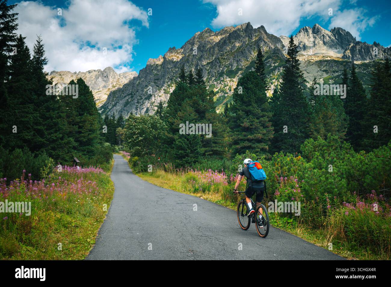 Un VTT longe un sentier forestier, empruntant le sentier sinueux à travers le terrain alpin pour une aventure en plein air difficile. Banque D'Images
