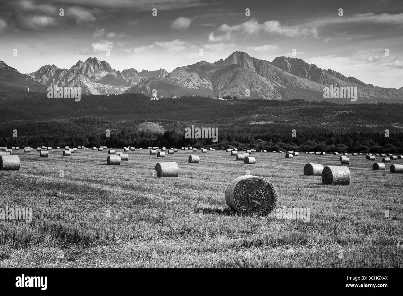Des balles de foin doré parsèment un champ d'été sous les sommets imposants des Hautes Tatras, capturant l'harmonie entre l'agriculture et la grandeur alpine. Banque D'Images