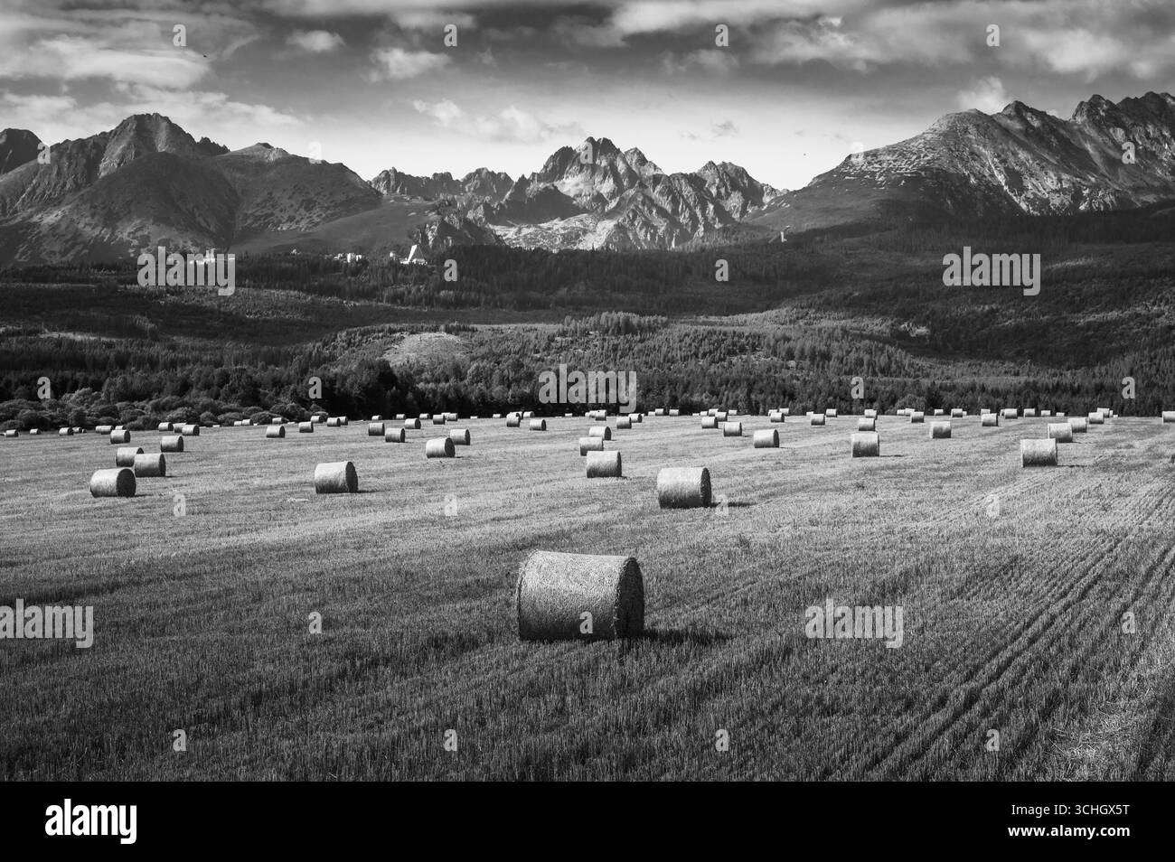 Les Hautes Tatras envahissent un champ d'été parsemé de balles de foin dorées, créant un contraste saisissant entre montagnes escarpées et terres cultivées. Banque D'Images
