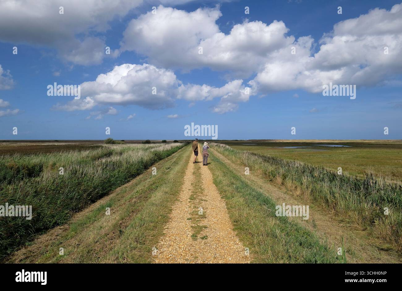 réserve naturelle de cley-next-the-sea, north norfolk wildlife trust, angleterre Banque D'Images