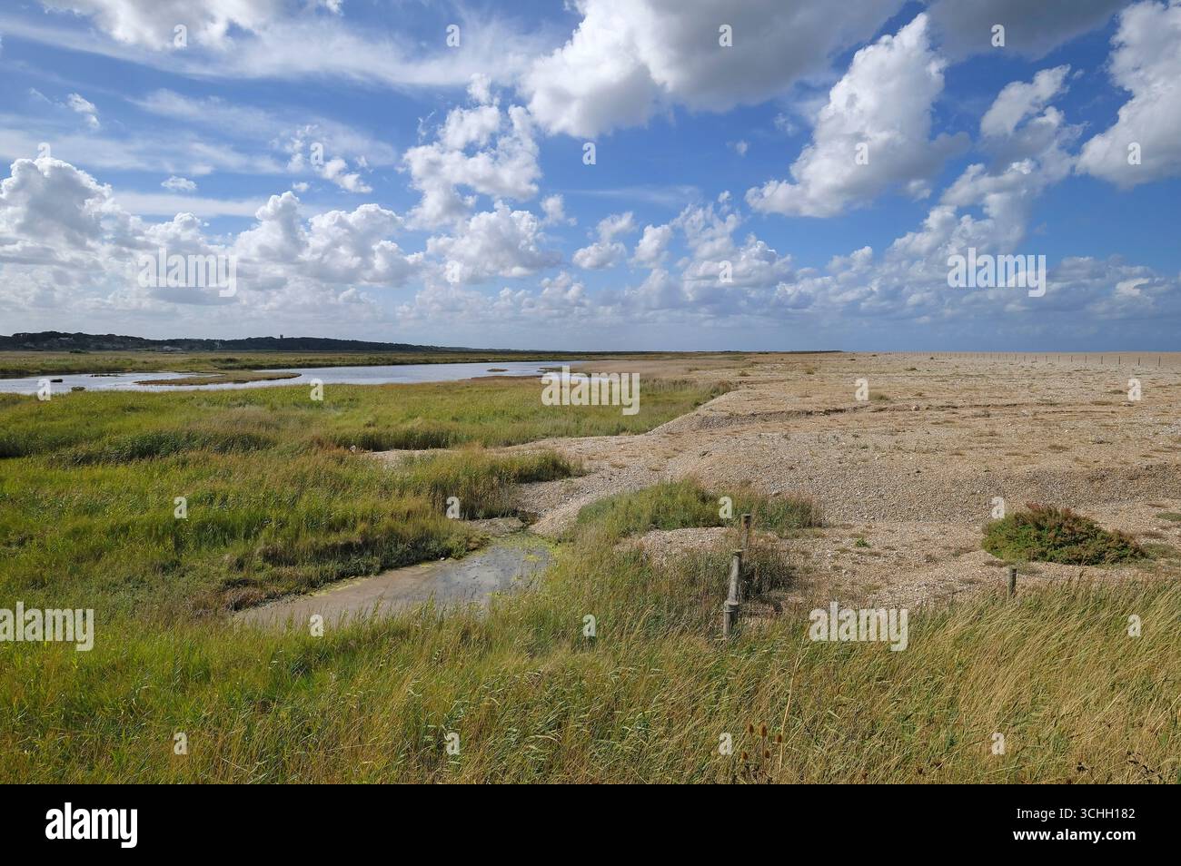 réserve naturelle de cley-next-the-sea, north norfolk wildlife trust, angleterre Banque D'Images