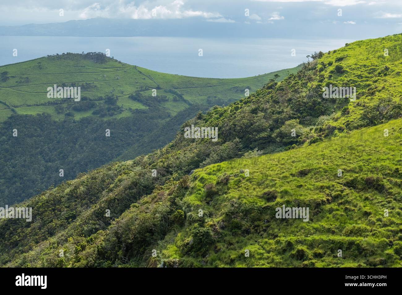 Collines verdoyantes dans les îles des Açores Portugal Banque D'Images