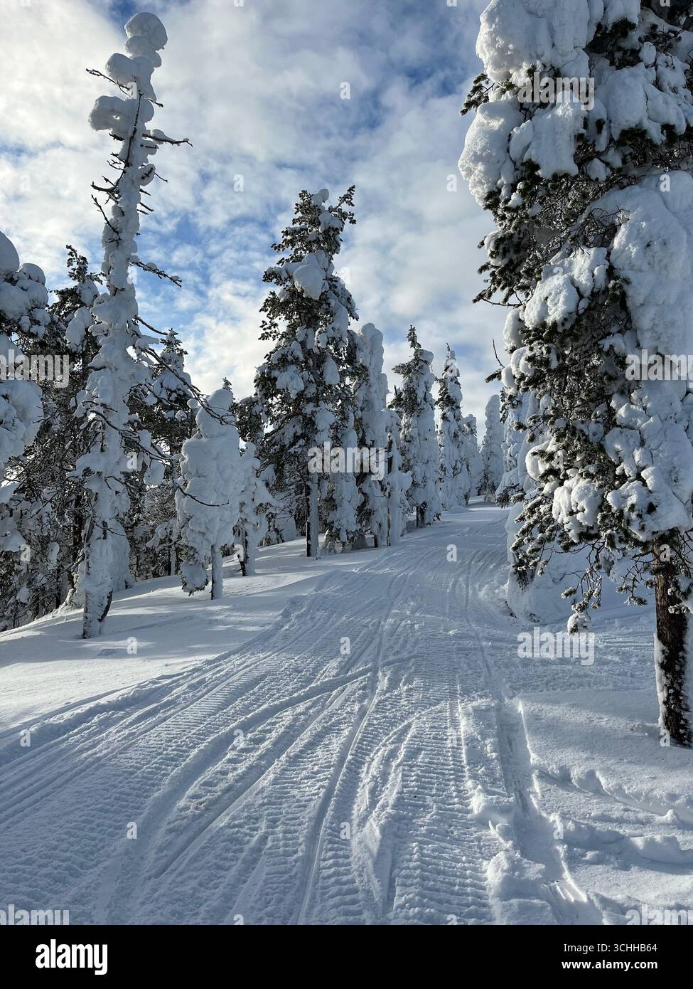 Sentier de motoneige à Ruka, Kuusamo, Finlande. - Image de stock capturée avec un smartphone