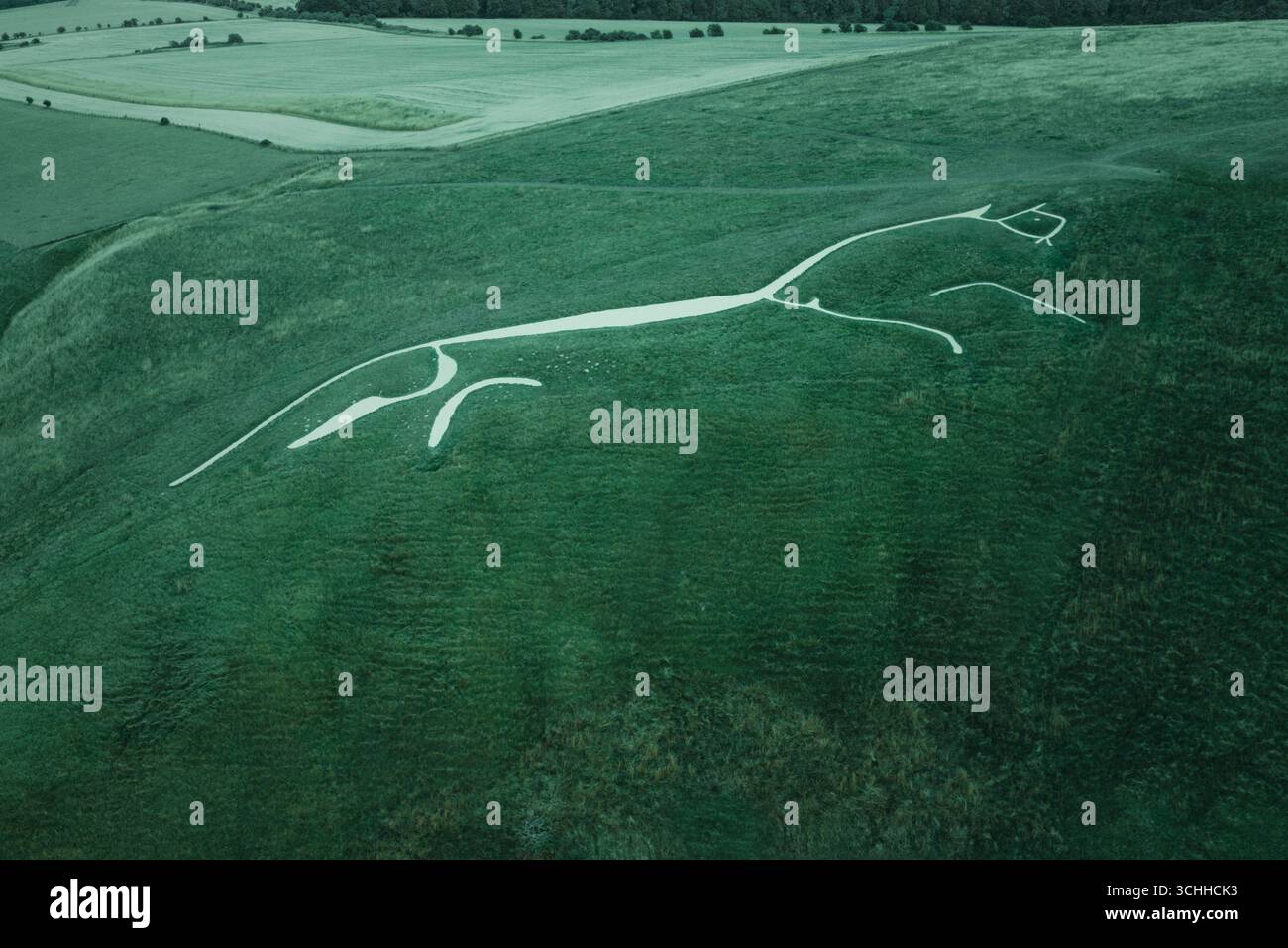 Le cheval blanc d'Uffington est une figure préhistorique de colline formée de profondes tranchées remplies de craie blanche écrasée. Il est situé sur White Horse Hill n Banque D'Images