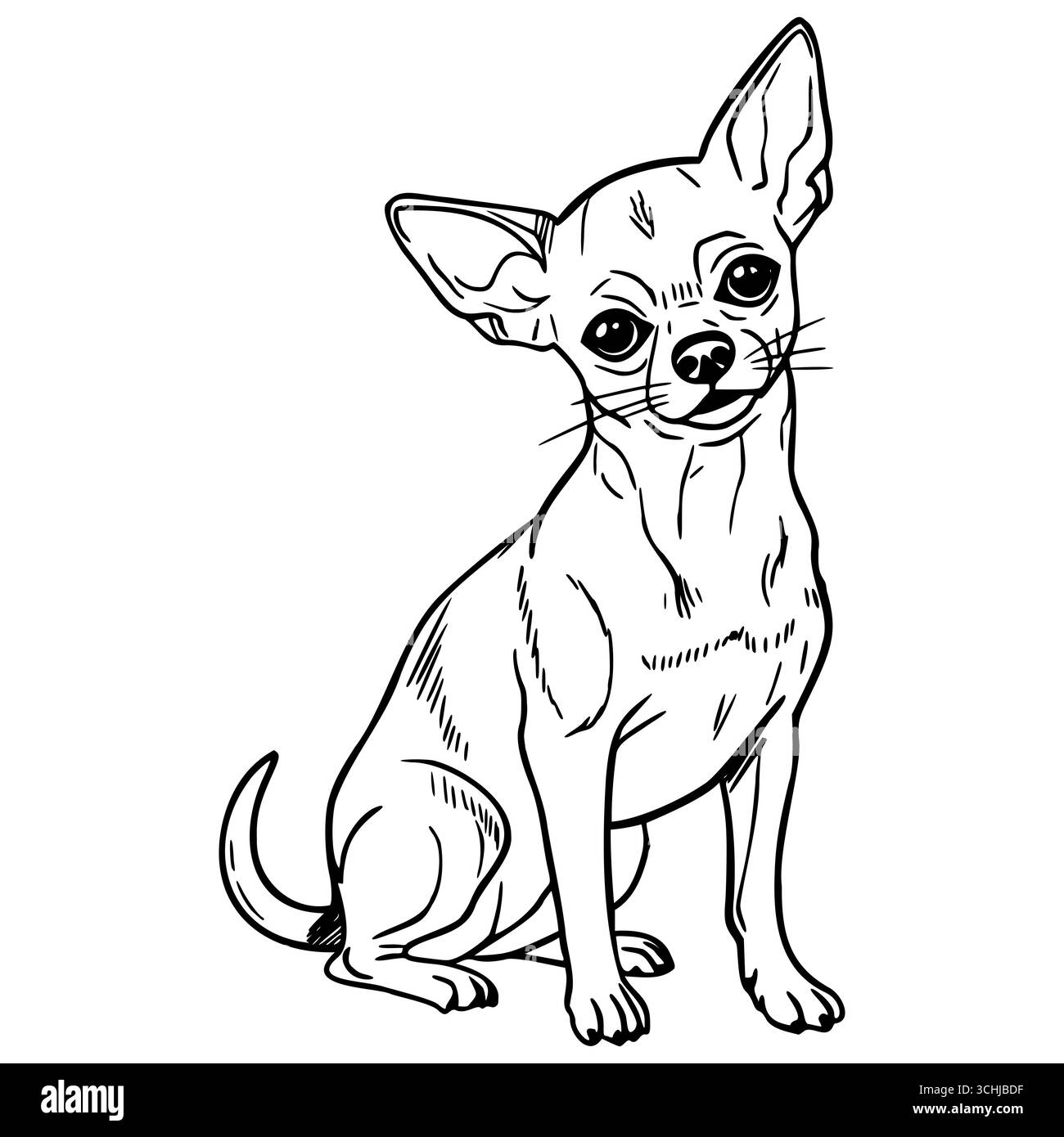 Un petit chien chihuahua ludique est assis avec une expression curieuse. Le chien a un pelage court et de grandes oreilles, mettant en valeur ses caractéristiques distinctives de race. Illustration de Vecteur