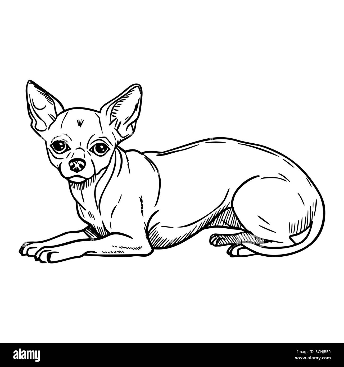 Un petit chihuahua brun clair couché. Le chien a de grandes oreilles et un pelage court, mettant en valeur ses caractéristiques distinctives et son comportement ludique. Illustration de Vecteur