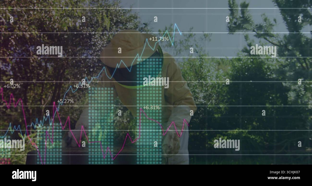 Apiculteur agenouillé portant une combinaison de protection jaune inspectant la ruche dans le jardin, superposition de graphique à barres Banque D'Images