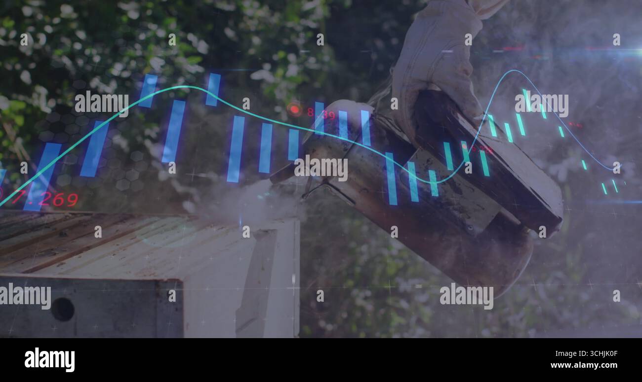 Fumoir d'abeilles en métal par un apiculteur ganté au-dessus d'une boîte de ruche en bois au rucher, avec superposition de carte Banque D'Images