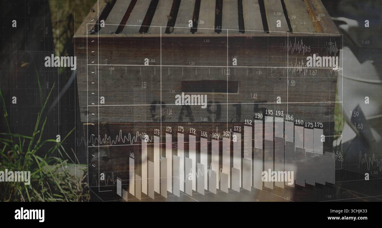 Projection de graphiques à barres et de graphiques linéaires à partir d'une boîte de ruche en bois dans le jardin, avec seau en métal Banque D'Images