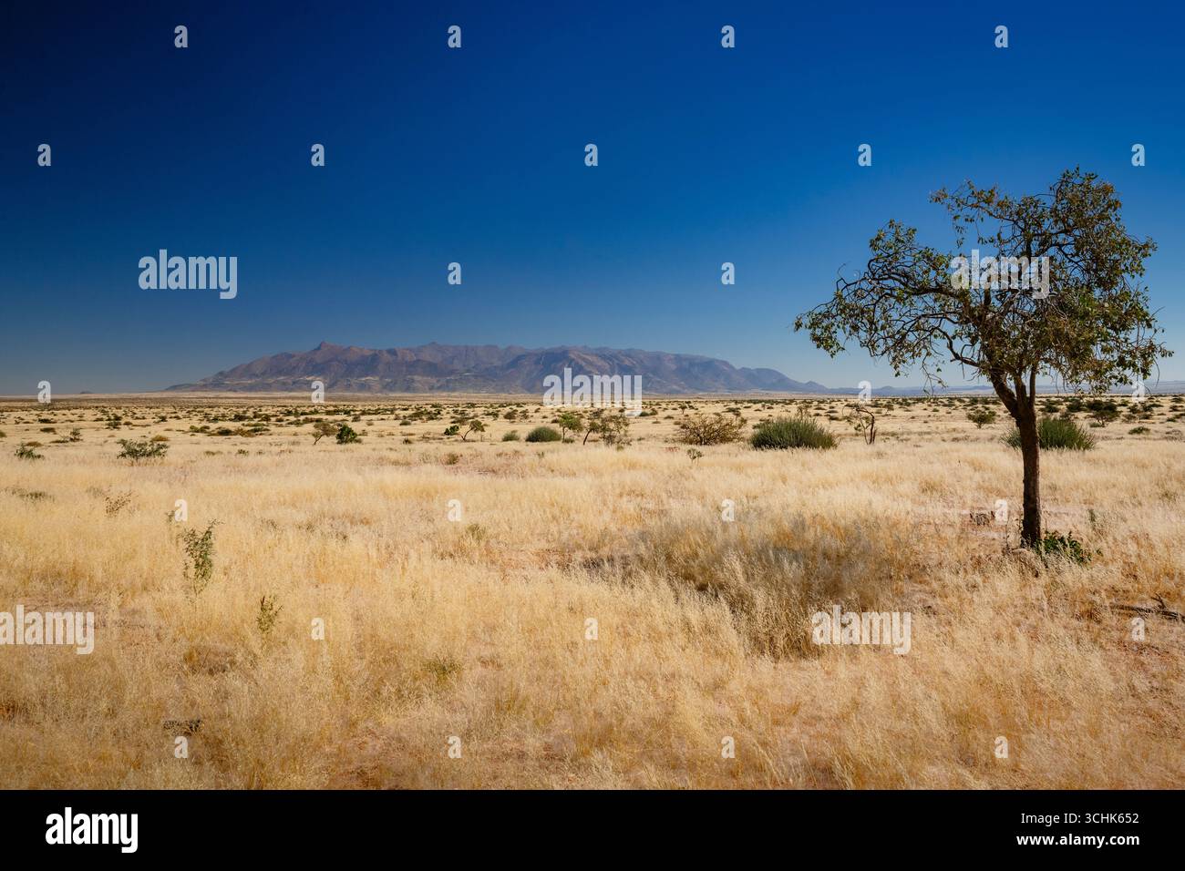 La chaîne du massif du Brandberg est le plus haut sommet de Namibie Banque D'Images