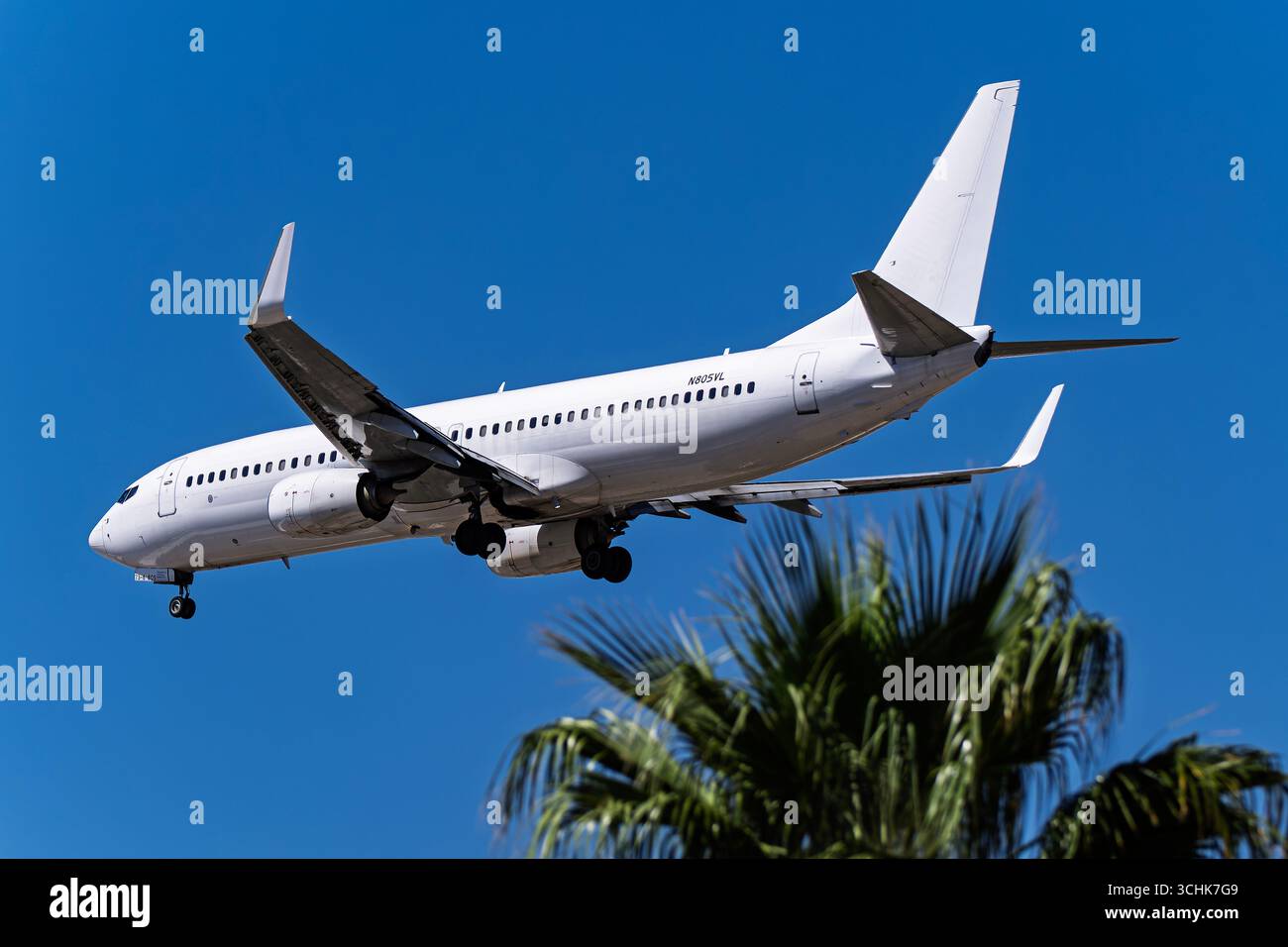 Harry Reid Airport 8-31-2025 Las Vegas NV USA Boeing 737-800 N805VL exploité par Avelo Airlines vol d'expulsion ICE affrété à Harry Reid Interna Banque D'Images