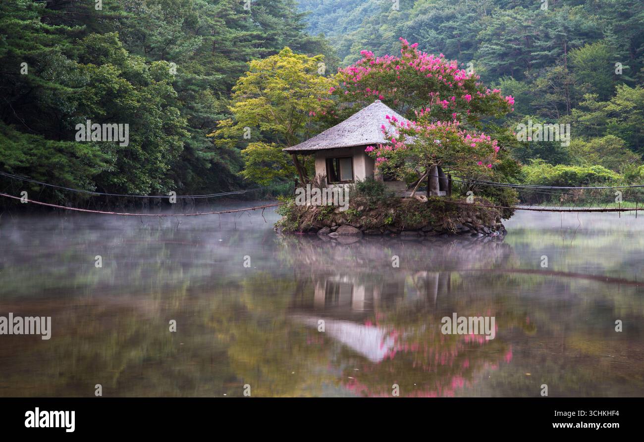 Les fleurs de myrte de croupe fleurissent dans une cabane au milieu d'un étang dans un village de montagne avec un pont suspendu. Banque D'Images