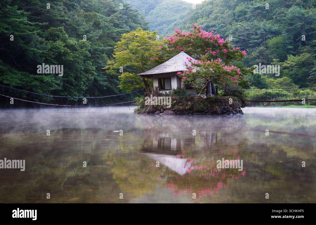 Les fleurs de myrte de croupe fleurissent dans une cabane au milieu d'un étang dans un village de montagne avec un pont suspendu. Banque D'Images